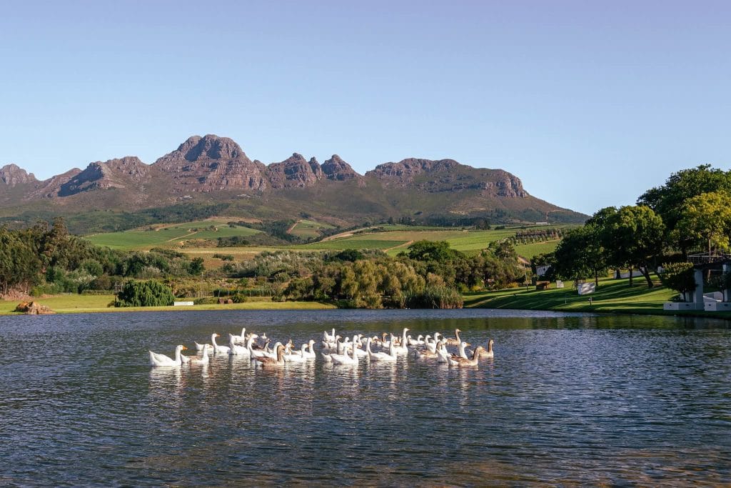 FB_IMG_1756212999534