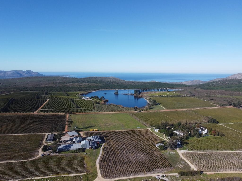 Iona Wines