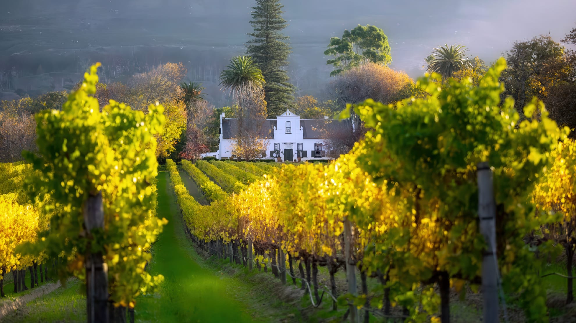 VW0002 Website FA_WINE ROUTES rotating banners-2-100