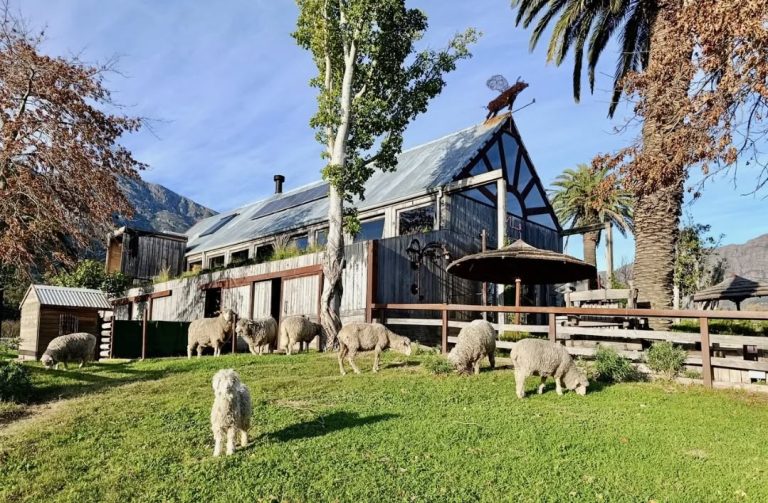 Farm Sanctuary SA (Franschhoek Village)