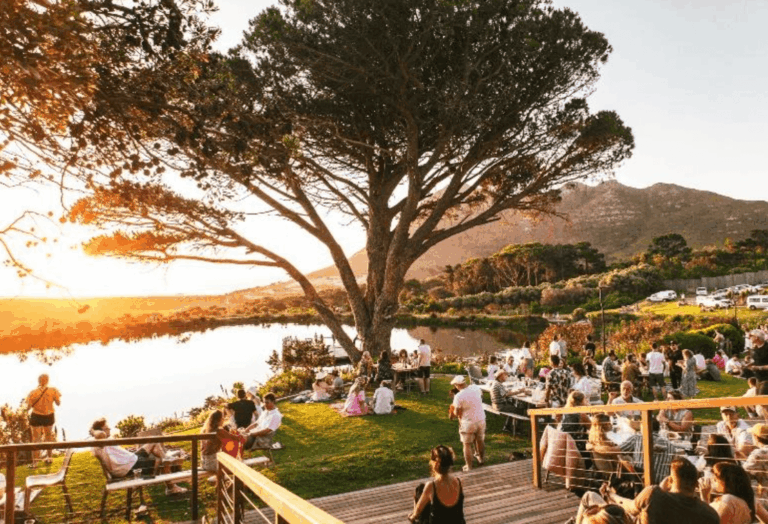 Golden light spills across a lakeside lawn framed by a sprawling tree and mountain views in the distance. People lounge on picnic blankets and gather at tables, chatting over food and wine as the sun sets. The scene feels relaxed and communal — a perfect blend of nature, music, and warm evening energy often found at outdoor markets or summer events in the Cape Winelands.