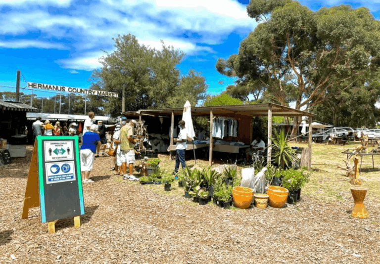 The Hermanus Country Market, an open-air market surrounded by trees under a bright blue sky. Several small wooden stalls display plants, pottery, clothing, and local crafts, while people browse and chat casually. A signboard at the entrance reminds visitors of COVID-19 safety guidelines, and the relaxed, community-oriented setting reflects the charm of a local weekend market in the Western Cape.